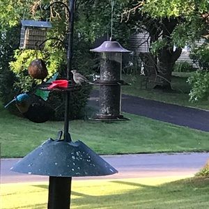 Meet your Posher, Hillary